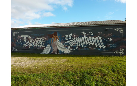 Merci à Syndrom Art , Lili Pop pour cette magnifique Fresque