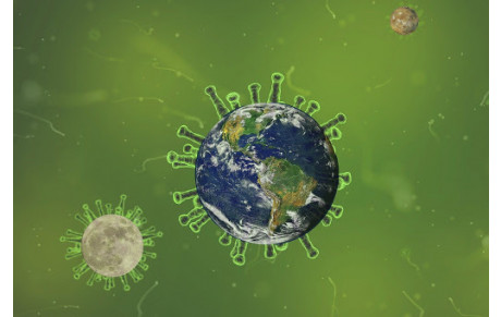 Covid 19 / Coronavirus